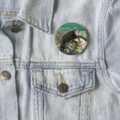 Leguaan op de rotsen bij St. Thomas Ronde Button 5,7 Cm (In situ)