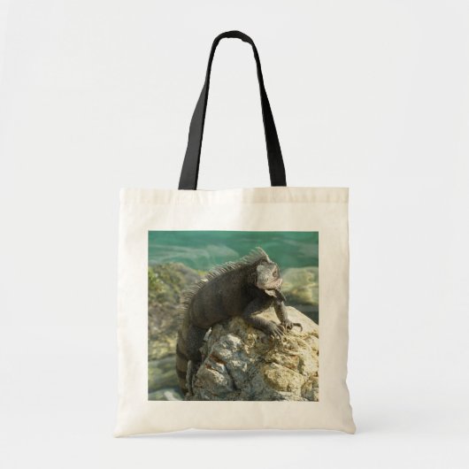 Leguaan op de rotsen bij St. Thomas Tote Bag (Voorkant)