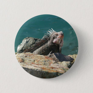 Leguaan op St. Thomas Ronde Button 5,7 Cm