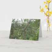 leguaan wenskaart (vermageringsdieetversie) kaart (Gele Bloem)