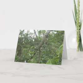 leguaan wenskaart (vermageringsdieetversie) kaart