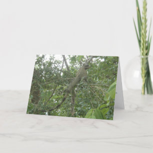 leguaan wenskaart (vermageringsdieetversie) kaart