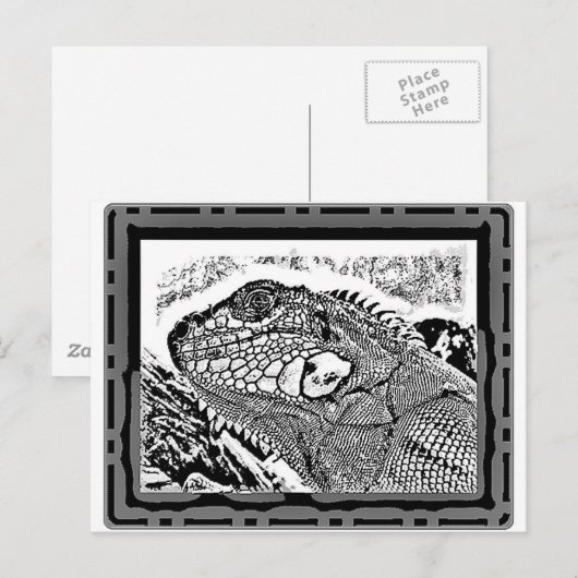 Leguan zwart-wit briefkaart (Voorkant / Achterkant)