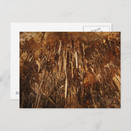 Lehman Cave Briefkaart (Voorkant / Achterkant)