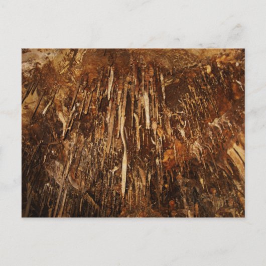 Lehman Cave Briefkaart (Voorkant)