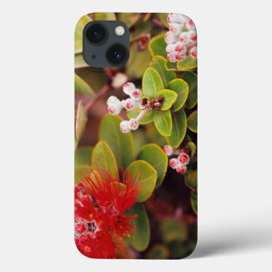 Lehua bloesems in Hawaï-vulkanen Case-Mate iPhone Case (Achterkant)
