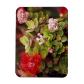 Lehua bloesems in Hawaï-vulkanen Magneet (Verticaal)