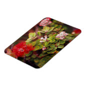 Lehua bloesems in Hawaï-vulkanen Magneet (Linkerzijde)