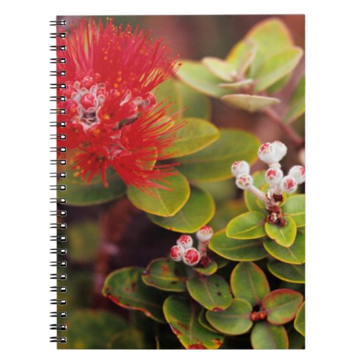 Lehua bloesems in Hawaï-vulkanen Notitieboek (Voorkant)