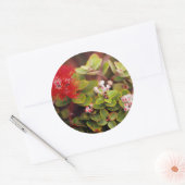 Lehua bloesems in Hawaï-vulkanen Ronde Sticker (Envelop)
