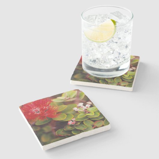 Lehua bloesems in Hawaï-vulkanen Stenen Onderzetter (Zijkant)