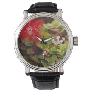 Lehua-bloesems in Hawaiaanse vulkanen Horloge