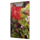 Lehua Bloesems In Hawaii Vulkanen Klembord (Links)