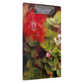 Lehua Bloesems In Hawaii Vulkanen Klembord (Rechts)