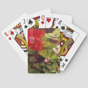 Lehua Bloesems In Hawaii Vulkanen Pokerkaarten