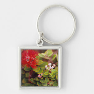 Lehua Bloesems In Hawaii Vulkanen Sleutelhanger