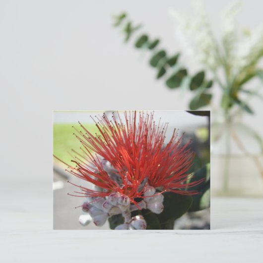 Lehua Briefkaart (Staand voorkant)