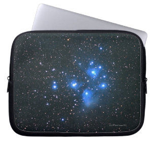 leiades 2 laptop sleeve