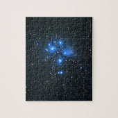 leiades 2 legpuzzel (Verticaal)