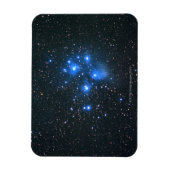 leiades 2 magneet (Verticaal)