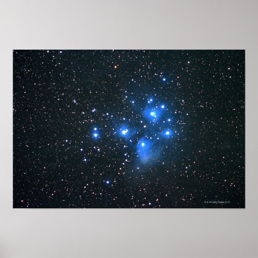 leiades 2 poster (Voorkant)