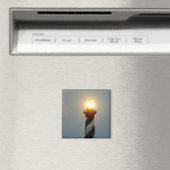 Leidend licht magneet (Insitu (Vaatwasser))
