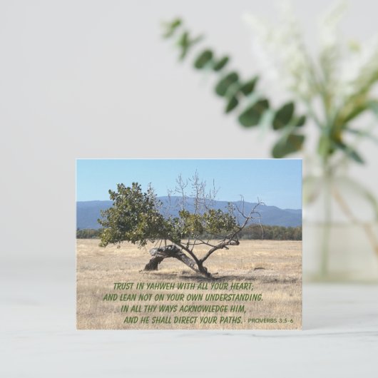 Leider niet op uw eigen inzicht briefkaart (Staand voorkant)