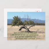 Leider niet op uw eigen inzicht briefkaart (Voorkant / Achterkant)