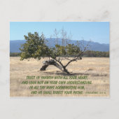 Leider niet op uw eigen inzicht briefkaart (Voorkant)