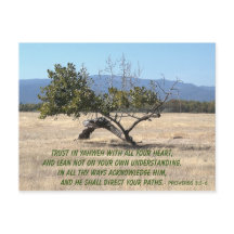 Leider niet op uw eigen inzicht