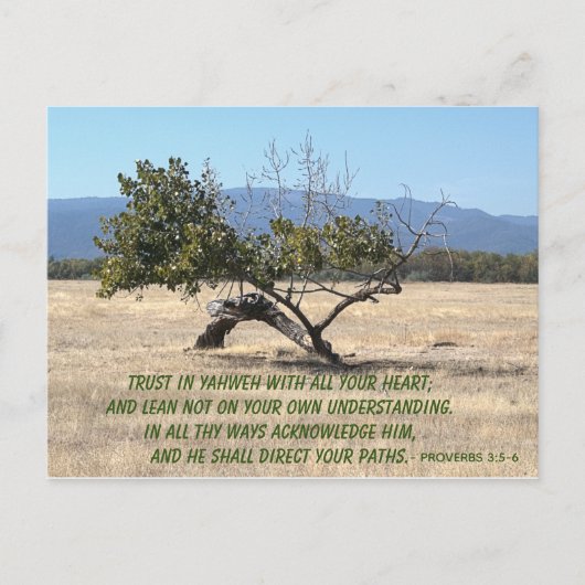 Leider niet op uw eigen inzicht briefkaart (Voorkant)