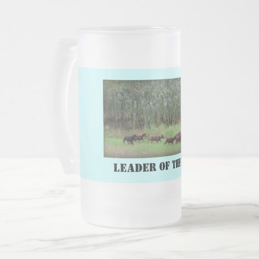 Leider van de verpakking matglas bierpul (Voorkant links)