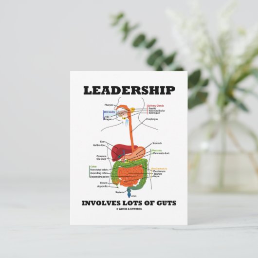 Leiderschap omvat veel darmen (spijsverteringskana briefkaart (Staand voorkant)