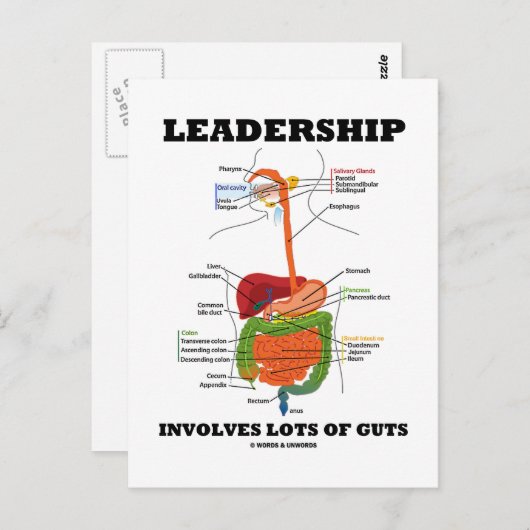 Leiderschap omvat veel darmen (spijsverteringskana briefkaart (Voorkant / Achterkant)