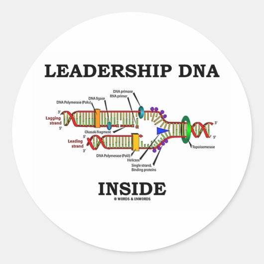 LeiderschapDNA Inside (DNA-replicatie) Ronde Sticker (Voorkant)