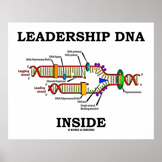 Leiderschaps-DNA Inside (biologie Attitude) Poster (Voorkant)