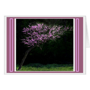 Leiding tot de lente
