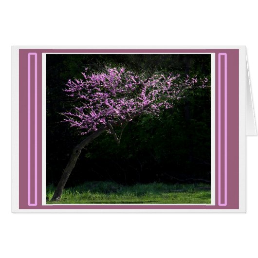 Leiding tot de lente (Voorkant Horizontaal)