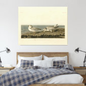 Leiding van de Amerikaanse vogels van Audubon Canvas Afdruk (Insitu (Slaapkamer))