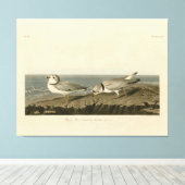 Leiding van de Amerikaanse vogels van Audubon Canvas Afdruk (Insitu (Houten vloer))