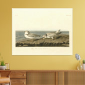 Leiding van de Amerikaanse vogels van Audubon Canvas Afdruk (Insitu (Woonkamer))
