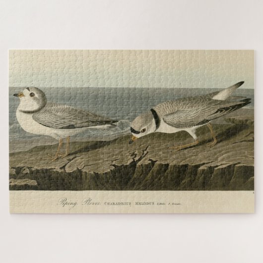 Leiding van de Amerikaanse vogels van Audubon Legpuzzel (Horizontaal)