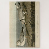 Leiding van de Amerikaanse vogels van Audubon Legpuzzel (Verticaal)