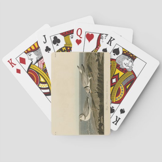 Leiding van de Amerikaanse vogels van Audubon Pokerkaarten (Achterkant)
