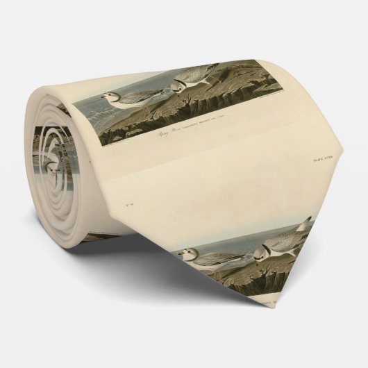 Leiding van de Amerikaanse vogels van Audubon Stropdas (Opgerold)