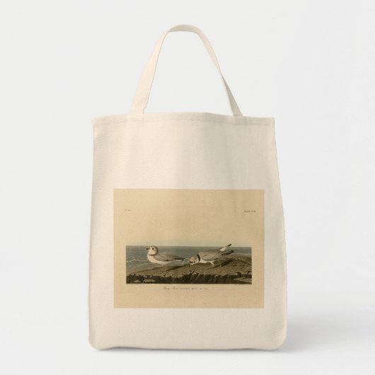 Leiding van de Amerikaanse vogels van Audubon Tote Bag (Voorkant)