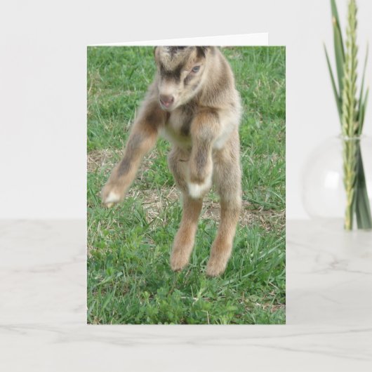 Leiding voor joy kaart (Voorkant)