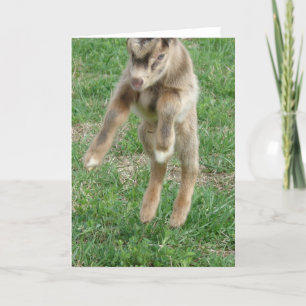 Leiding voor joy kaart