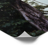 Leidingbomen en wijnstokken in oerwoud poster (Hoek)