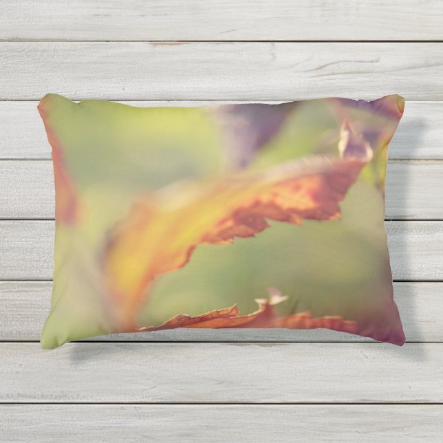 Leidingen in de wind buitenkussen (Voorkant)